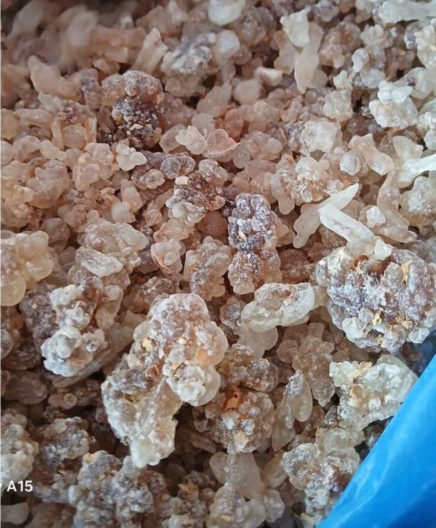 Medium grade frankincense resin
